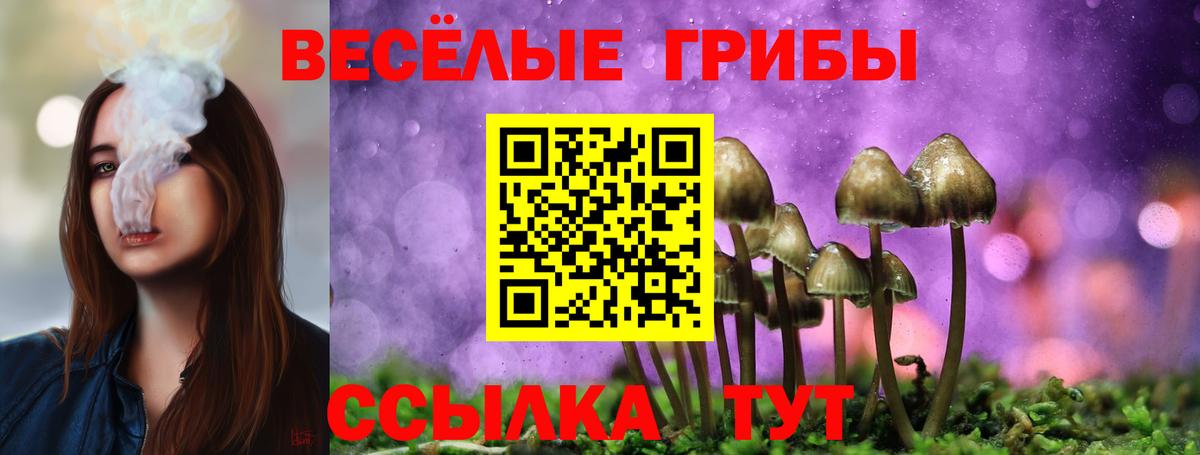 Псилоцибиновые грибы Psilocybine cubensis Дагестанские Огни